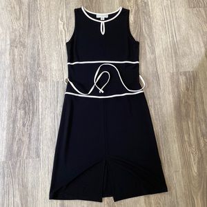 Petite Sophisticate dress